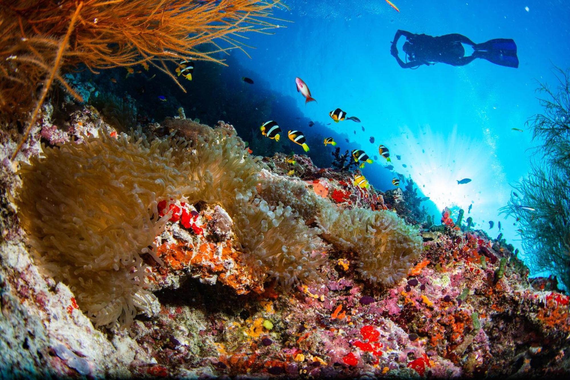 Noku Maldives, Vignette Collection By Ihg, 50 Percent Off Shared Roundtrip Seaplane Transport When You Stay 4 Nights Or More Stay Period Until 23 Dec 2025 (Adults Only) Kudafunafaru Esterno foto